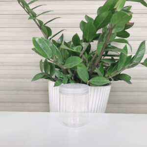 HŨ PET TRÒN 580ML ĐƯỜNG KÍNH 89MM NẮP NHỰA - Ảnh 6